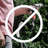 How to be water efficient in the garden - save water